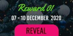 reward 1